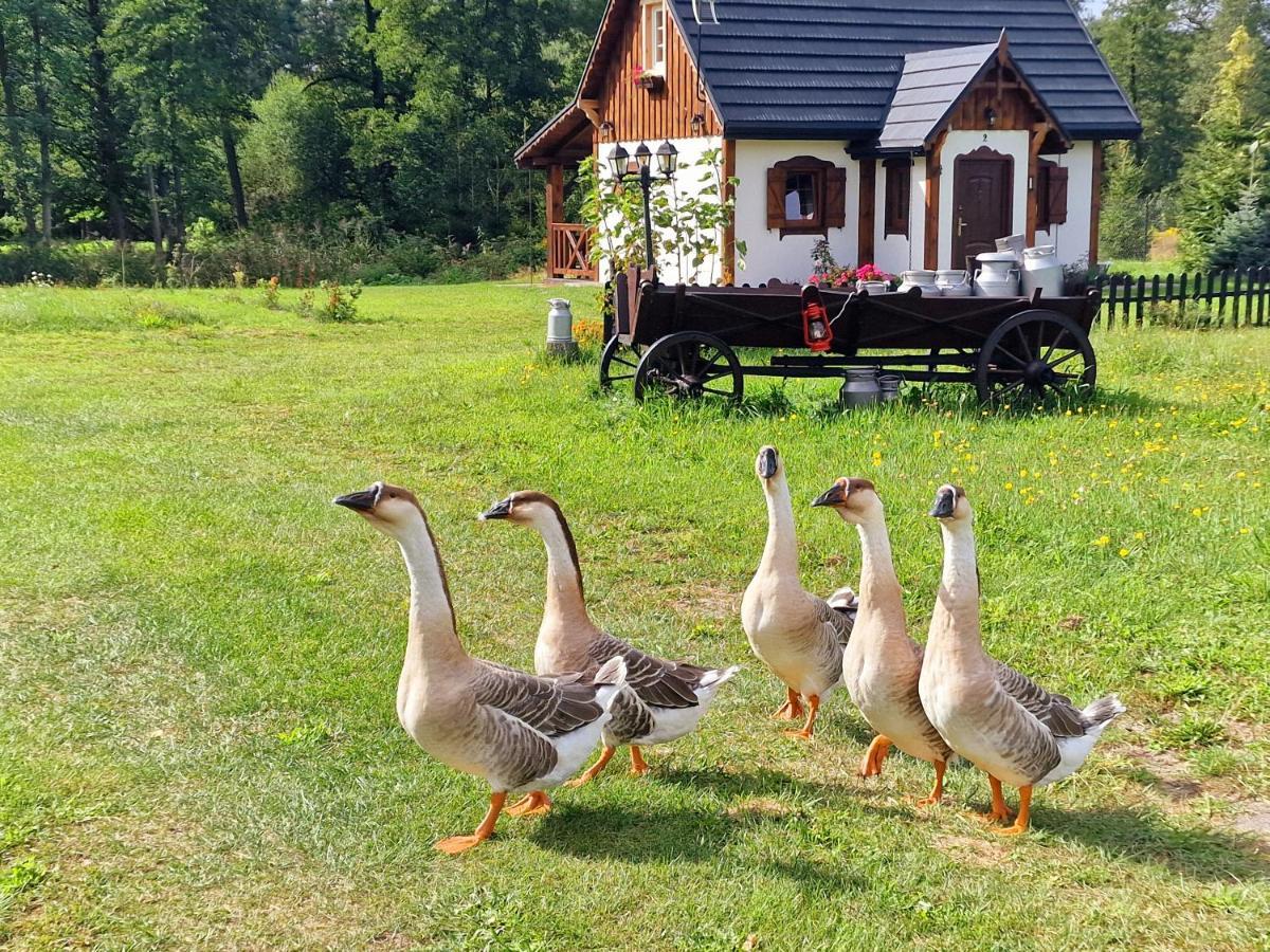 Вилла Casa Del Campo 1 Gasno Экстерьер фото